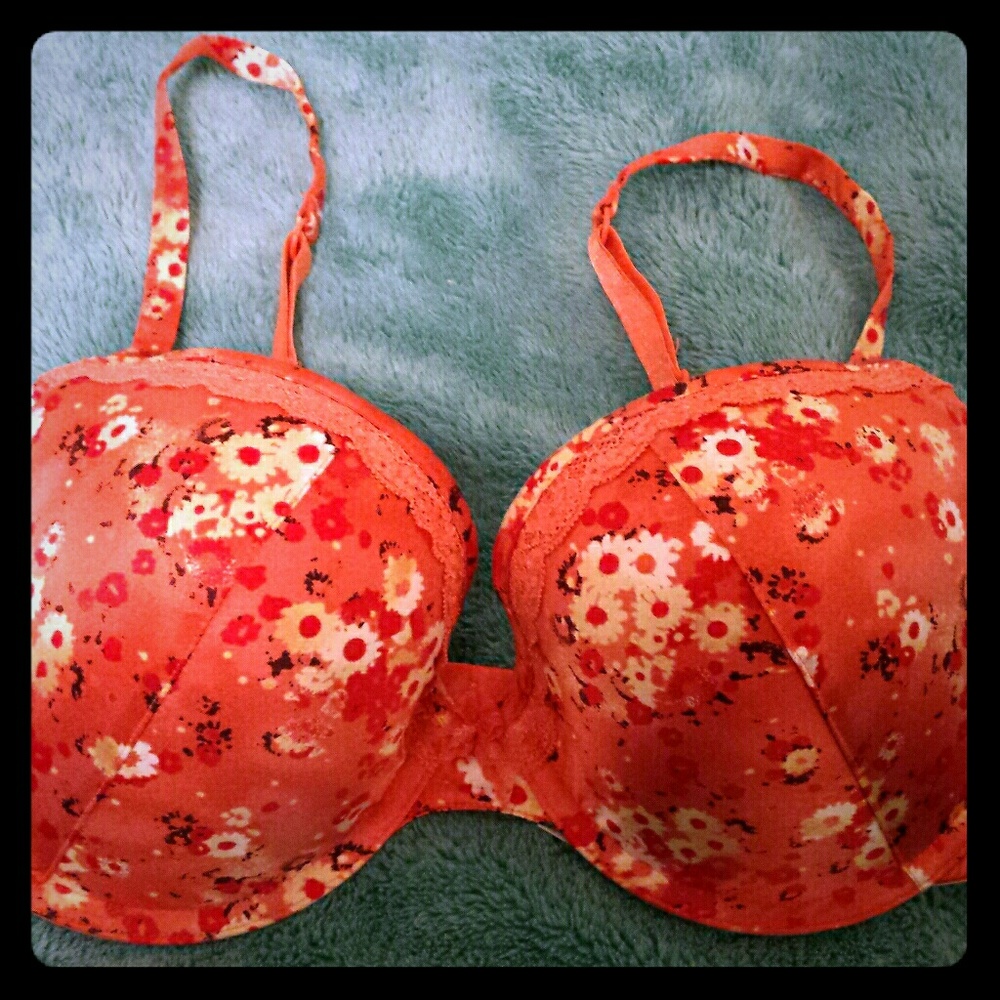 Marie Meili Floral 38DD